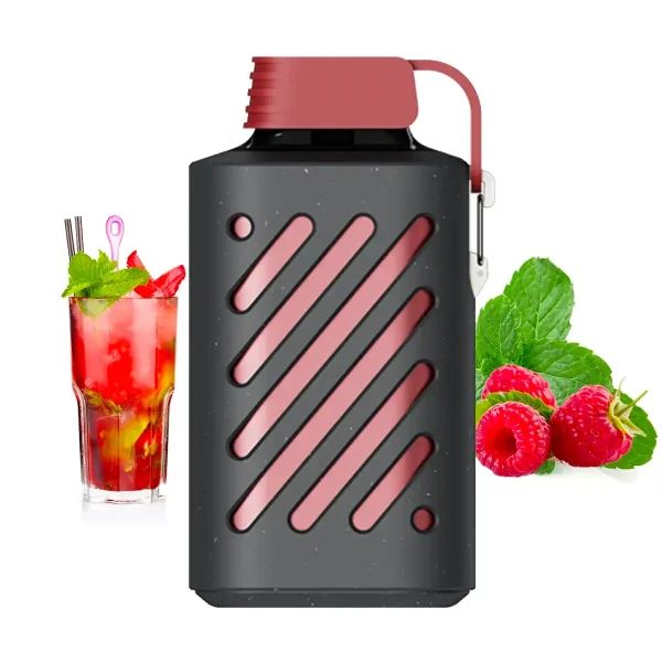 vozol 10000 puff red mojito