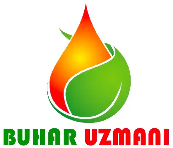 Buhar Uzmanı