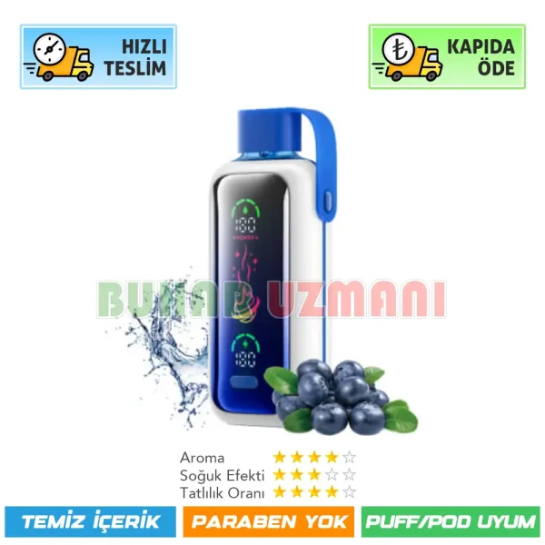 Vozol Star 20000 Puff Blueberry Storm