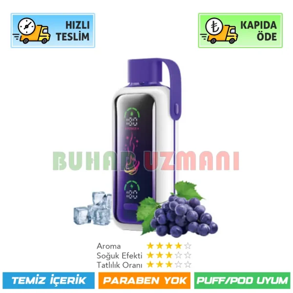 Vozol Star 20000 Puff Grape ice