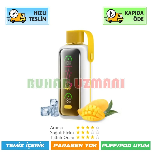 Vozol Star 20000 Puff Mango ice