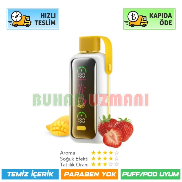 Vozol Star 20000 Puff Strawberry Mango